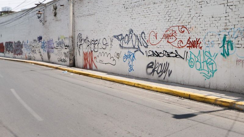 Dos Visiones un Mismo Espacio / Murales Hércules